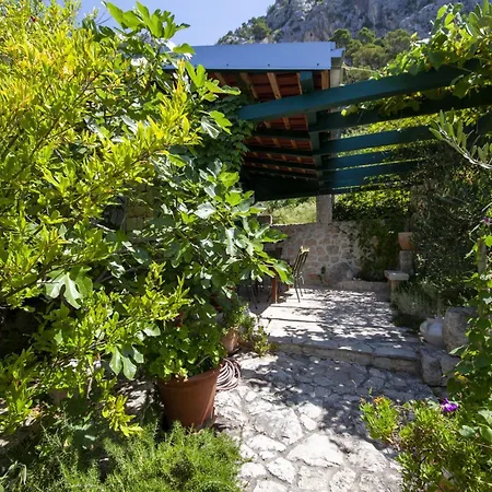 Makar Makarska