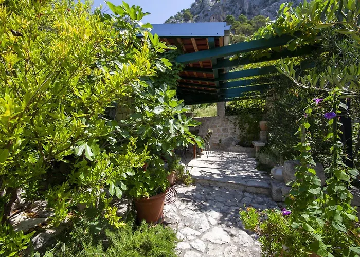 Makar 마카르스카